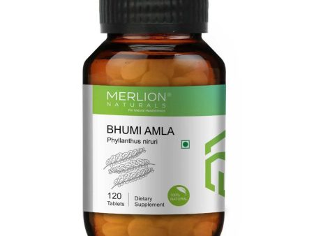 Merlion Naturals Bhumi Amla 500mg Tablets Supply