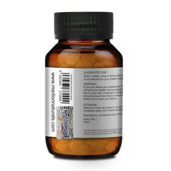 Merlion Naturals Amla 500mg Tablets For Sale