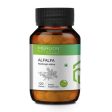 Merlion Naturals Alfalfa 500mg Tablets For Cheap